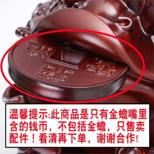 ������ﺬ�~�Xһ��(�������,ֻ��������~�X)����~�X���s���
