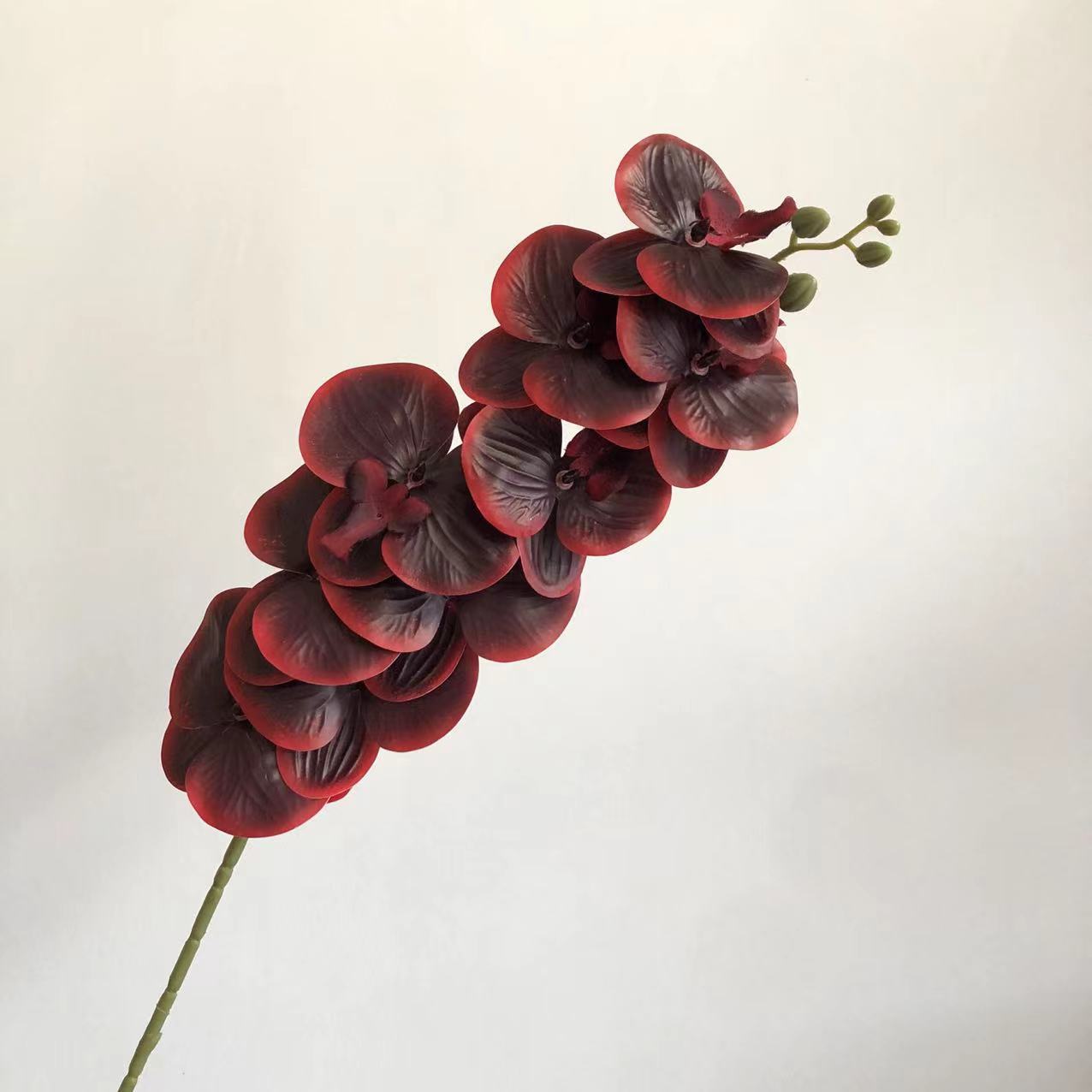 진한 빨간색