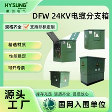 �ɶ��� DFW 24KV�߉�DFW��|��֧�� 24KV�߉�DFW��|��֧��