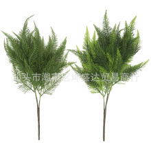 ����ֲ������������ɼ  �ҾӾGɫ�����b��҃Ȕ[���S�����l���