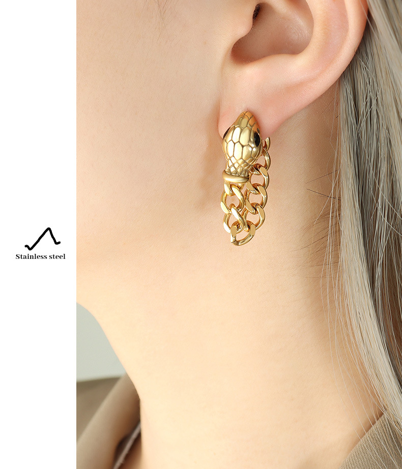 Punk Snake Titanium Steel Inlaid Zircon Drop Earrings 1 Pair