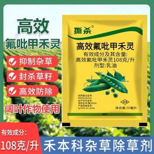 ��Ч�����׺��`�󶹻�����ݮ�JȔé��ţ����R�Ƽ��~�݌��ó��݄�