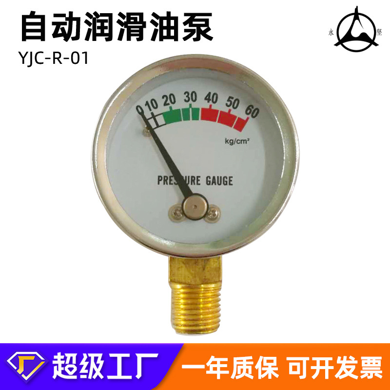 自动润滑油泵无机心压力表定制注塑机床齿轮油泵注油器电动润滑泵