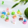 迷你景观多肉仿真工艺品