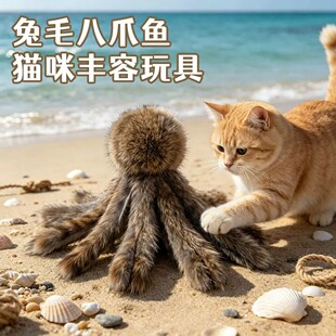 ؈�������ë���~؈���S���������ë���צ�~С؈��؈�������