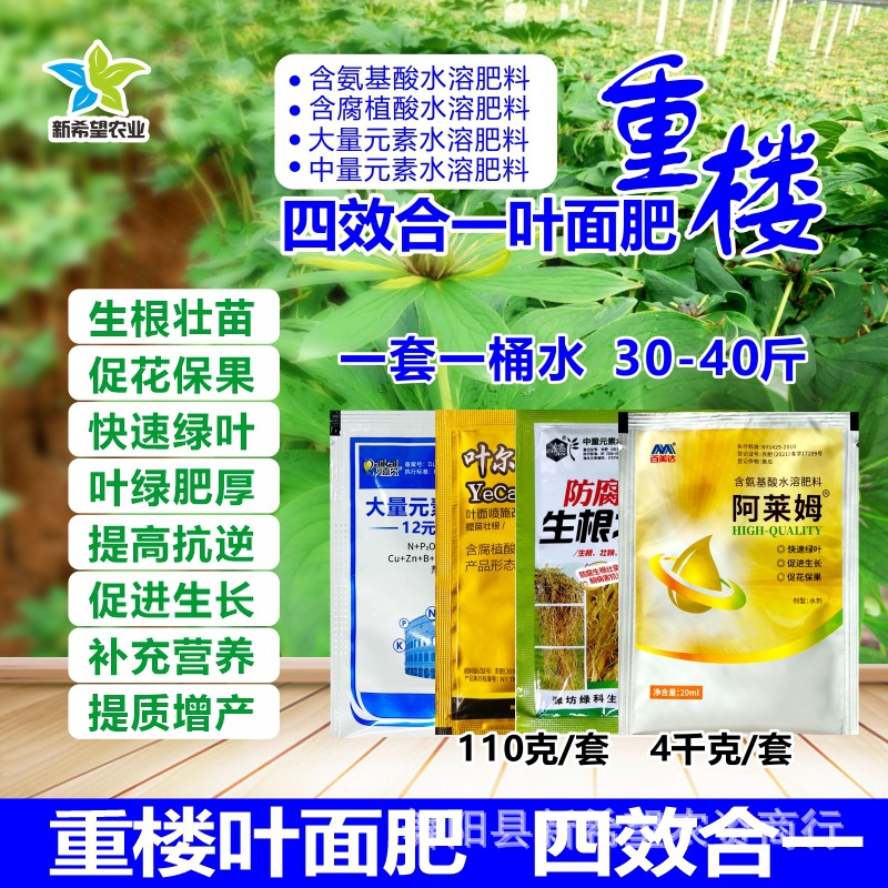 重楼专用叶面肥 壮根膨果快长增产氨基酸肥微量元素水溶肥料