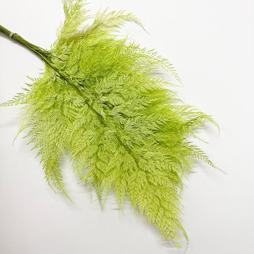 Snowflake Fern Everlasting Flower Fern Leaf【Cyathea Filiformis】Real Flower Specimen DIY Home Decor Mountain Fern Wholesale