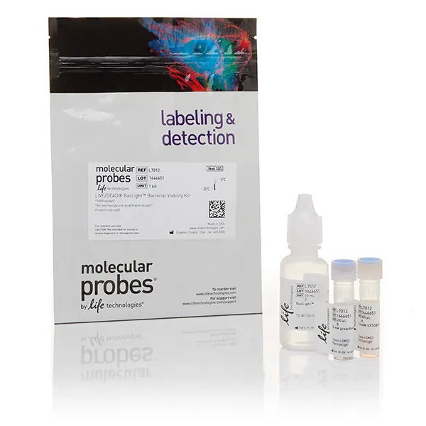 L7012/L13152/L7007赛默飞细菌活力测定试剂盒细胞分析荧光Thermo