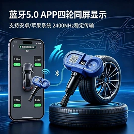 胎压监测系统;汽车传感器