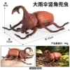 HFM large hollow umbrella vertical horn pocket insect D2