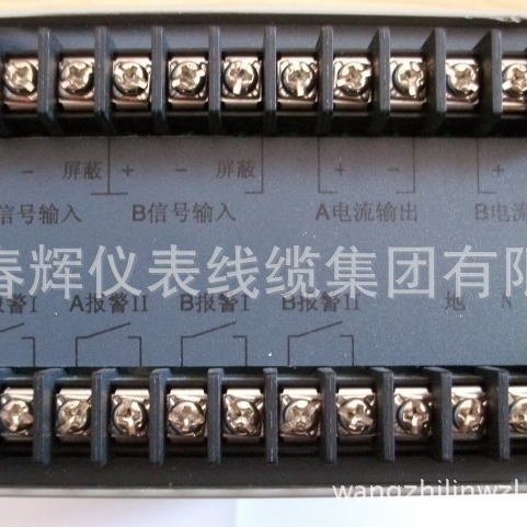 振动烈度监视仪CZJ-B2振动监测保护仪