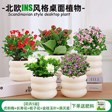 �Gֲ���Ի����҃Ⱥ��B�lؔ���k��������d�ӻ��G�}ˮ��Сֲ�����