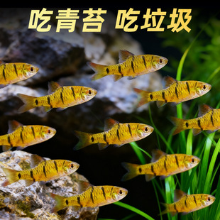 �Ї����~��H�l�yС?���w����̦�ͺ���ˮԭ���~Ϫ���~Ⱥ���^�p�~