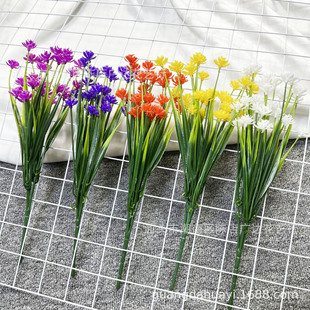 �羳���滨���ϴ��ݝM���ǲ軨��Ʒ�z���������컨õ�廨ˮ��ע��