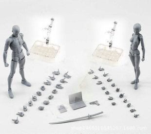 ���wģ�����w���k��ż�ɄӮ����L�����g��������������Ů������