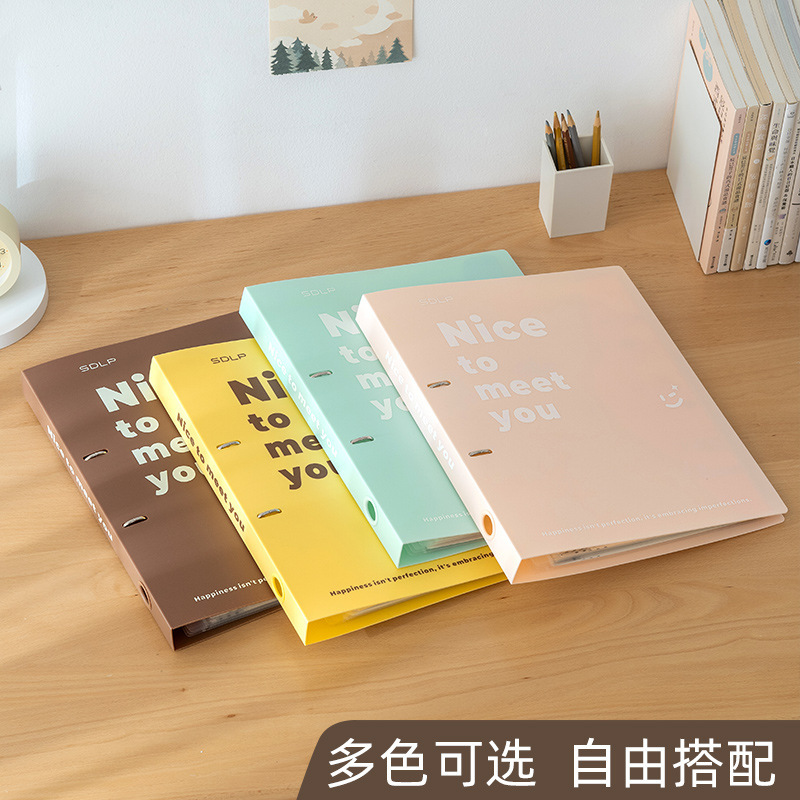 A4 File Folder Subject-Specific Folder with Magic Tape, Transparent Large-Capacity Storage Binder for Students