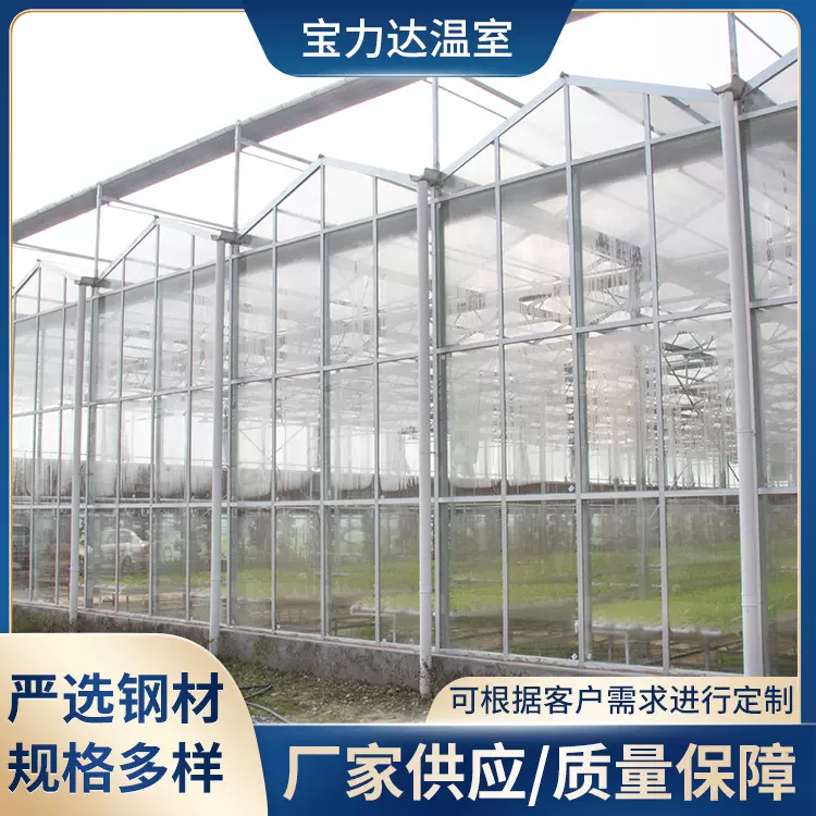 农业暖棚果蔬花卉种植农业观光玻璃遮阳文洛尖顶智能玻璃温室大棚