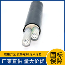 �Xо䓎��z�b��ȼ�����|ZRYJLV22 ZR-YJLV23 2X185 2X240 2X300