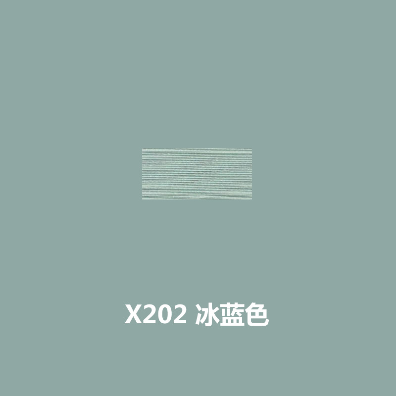 X202