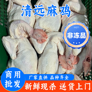���h���u1̖�����u�ߵ��u���r�F�����r�u���l�������l���B���l