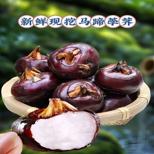 �V�������خa�R���߲�ݩ�jˮ��10��ԭ�a�ذ��]�ش�������ԬF��