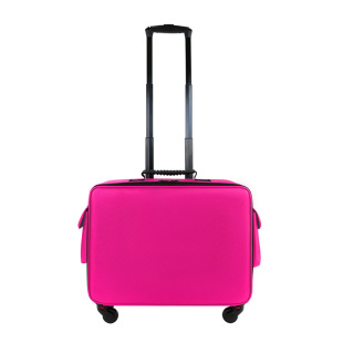 Professional Partition Makeup Trolley Case, Portable Universal Wheel and Makeup Box, Multi-Functional and Various Storage Methods, Tool Storage