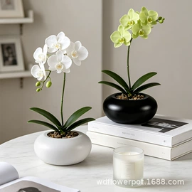 装饰花瓶;花盆装饰;花盆容器