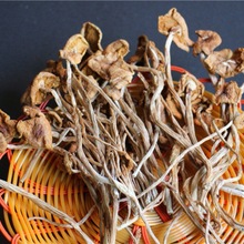 不開傘茶樹菇香菇批發農家特產干貨優質無硫年新貨多規格