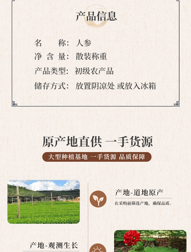 Ginseng Root Slices Ren Shen Panax ginseng Dried Cut Herb for Tea and Decoction quality and texture