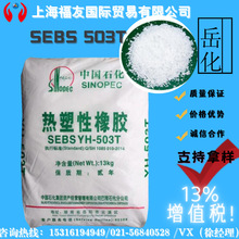 �����ԏ����wSEBS ����503T SEBS503T 503T   ����503T