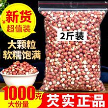 �͌�1000����؛�͌��׸�؛�u�^�͌�����޲��ɽș����ɏ���͌�