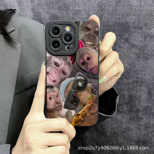 Product Media