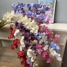 2�沼�Ϻ����m ��c����3D�����m��Ҿ��b����l��Y�Ĕz����