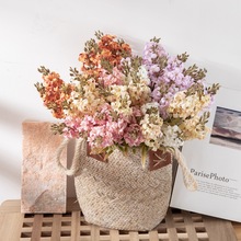 �ٻ�����5ͷ������INS����滨���ҼҾ�װ�ο羳��������CL01001