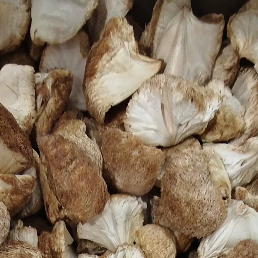 云南猴头菇干货小块适用菌汤包饭店批发煲汤煮汤味佳厂家代发代发