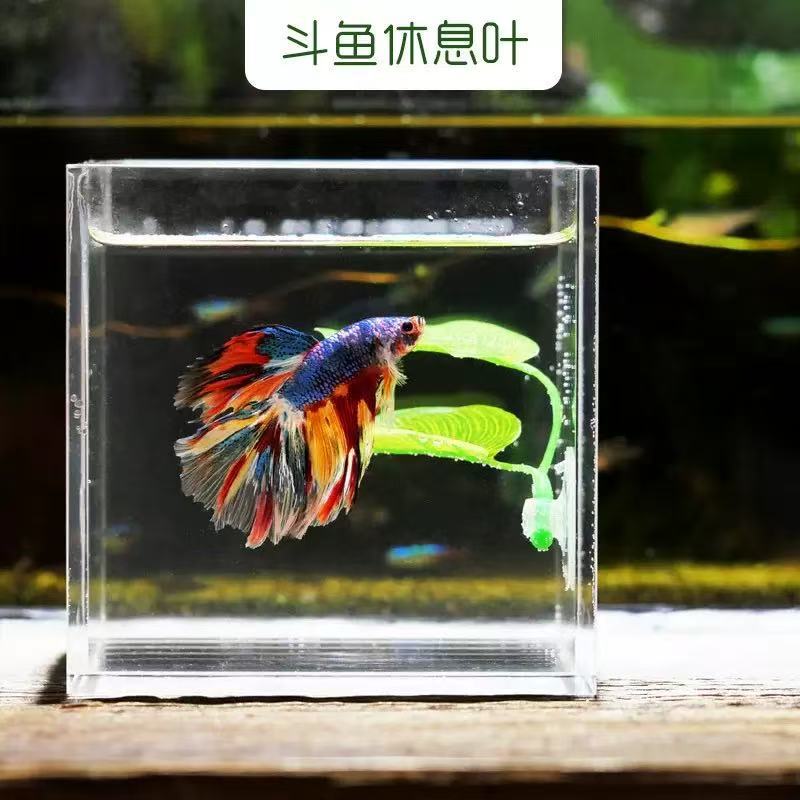 Pez betta hoja de descanso acuario simulación decorativa hoja de plástico suave Pez betta cama de producción doble observación y descanso hoja de desove