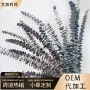 圆叶桉树叶叶材永生花