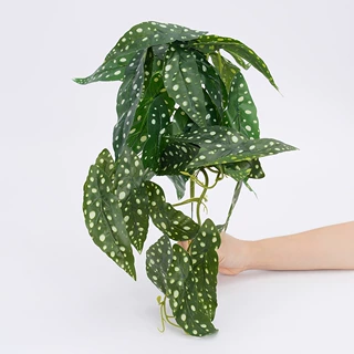挂墙装饰长海棠仿真绿植绿叶壁挂盆栽植物插花造景叶子绿萝龟背叶