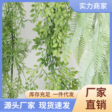 �羳���l����ڒ�Gֲާ� �������m���ٗl չ�d�ܵ������bGɫ