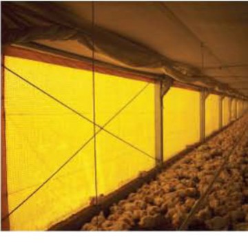 三防布养殖场塑料聚乙烯防水防护网