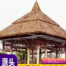é����������쵾�����ϼ�ë�ݵ�̺ʽ�ٲ�Ƥ�͹�é����é����