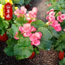 �ذ������Ļ����� �ļ��_��������  ����������[�ô��~���Ļ�