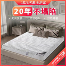 ϯ��˼���ɴ��|��������zҬ�س��ⷿ.��.�p��ܛӲ���|��