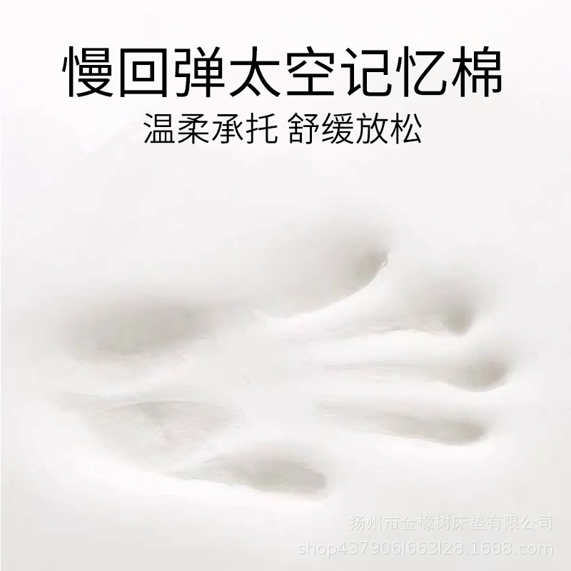 金橡树凝胶枕护颈慢回弹记忆棉枕芯夏季成人学生家用凉感颈椎枕|undefined