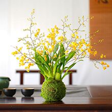 ������������ˮ�����m̦�\���������ܝ������҃ȿ͏d�����L��ˮ��