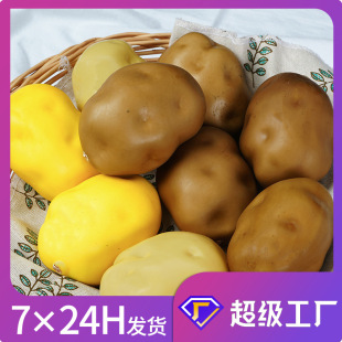 Foam Fake Potato Photography Video Props Children's Early Education Cabinet Decoration High Simulation Vegetable Potato Model
