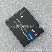 �m����ɵ�DC317/311/302/303/402/403/306/308���a���C늳�NP-6L