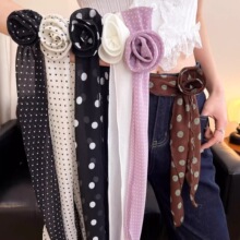 �p�ݲ��c�z��Ůϵ���h���L�l�I���нz�����Ůʿ2026�¿�