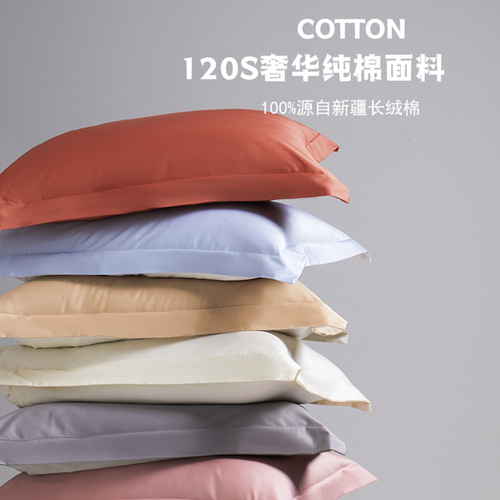 Class a 120-count satin Xinjiang long-staple cotton encrypted pillowcase pure cotton pair 48x74cm household adult