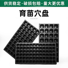 �Ӻ�����Ѩ�P�L���Ύ��������бPѿ��ѿ�˷Nֲ�Pһ������������P